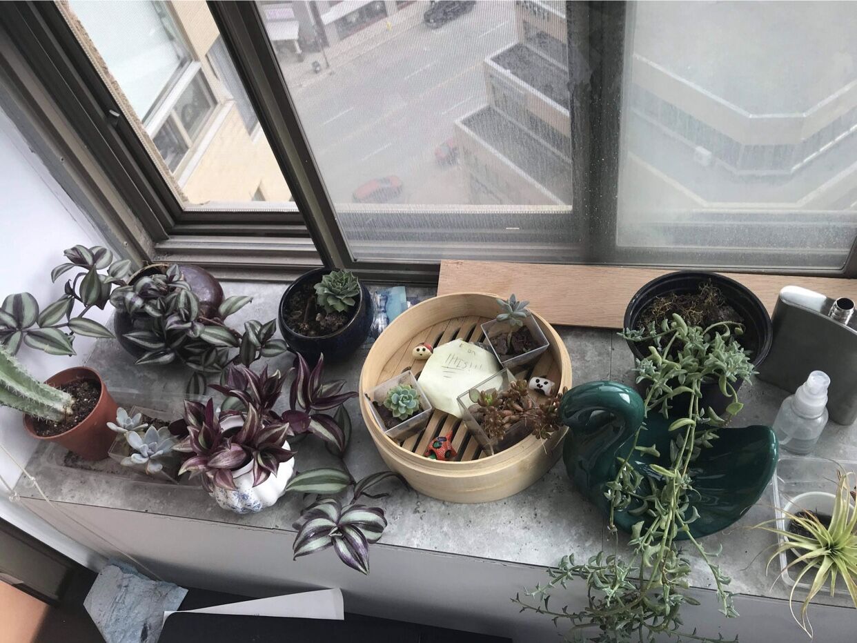 HOUSING: Room Decor 2.jpg